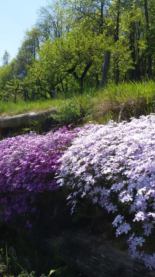 Il Sogno Della Vita Agriresort - Country Rooms & Suites Peveragno Eksteriør bilde